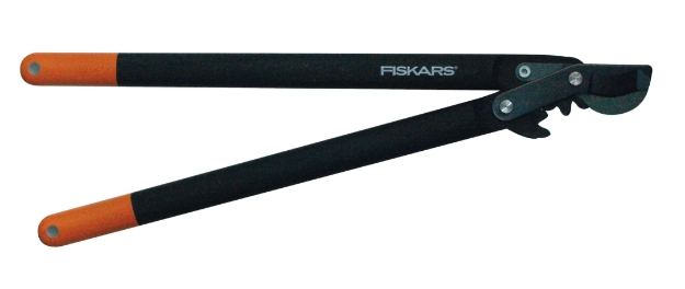 RYDNINGSSAKS FISKARS